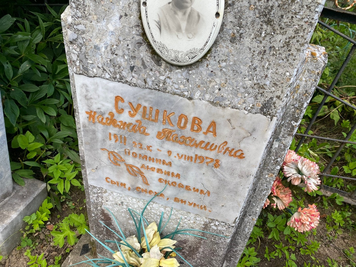 Сушкова