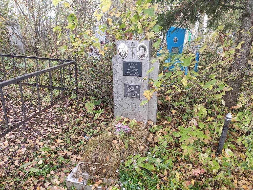Горшунов Сергей Александрович