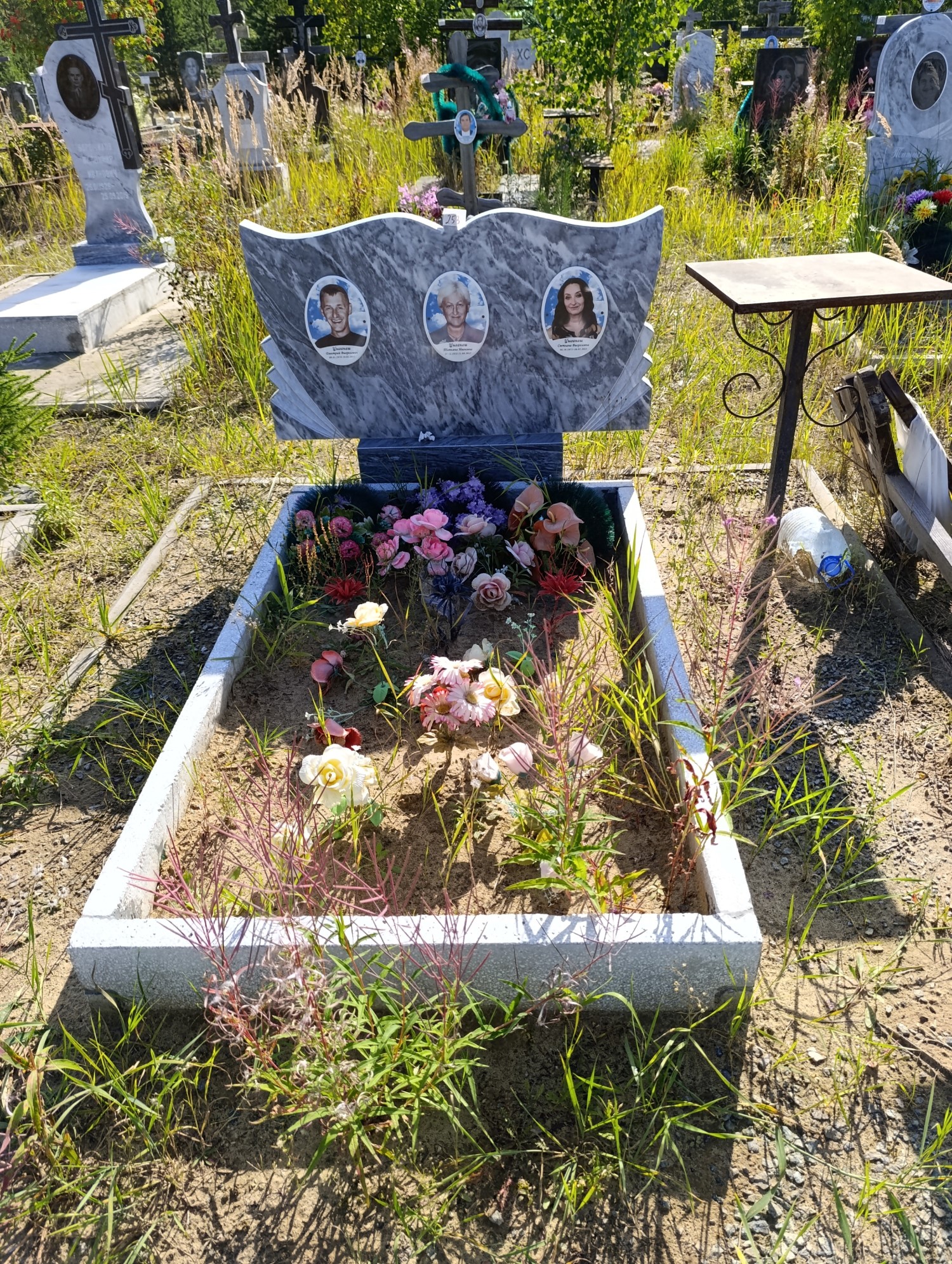 Цыганаш Светлана Виореловна