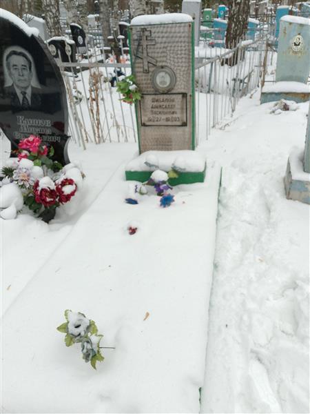 Шибанов Александр Васильевич