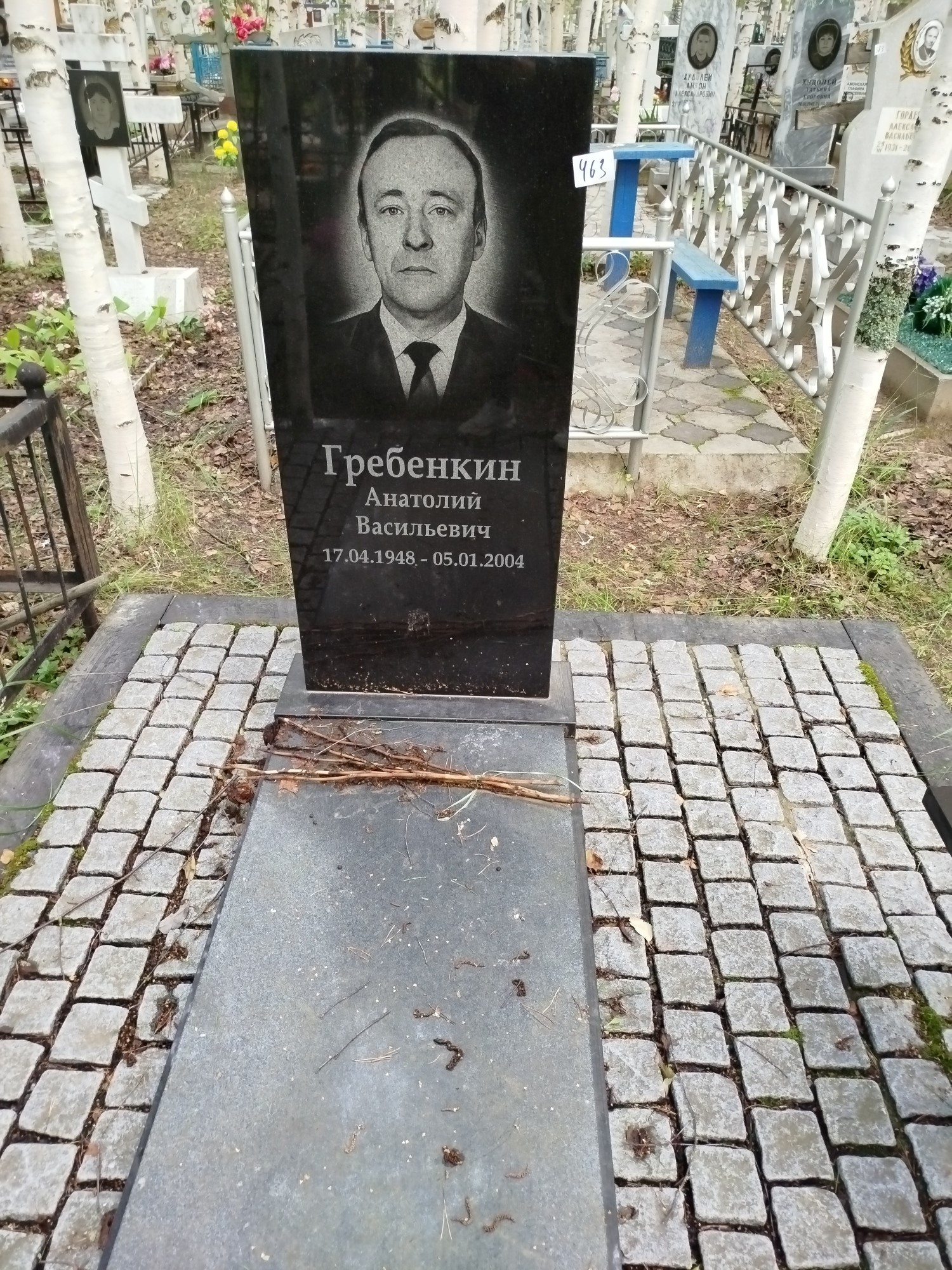 Гребенкин Анатолий Васильевич