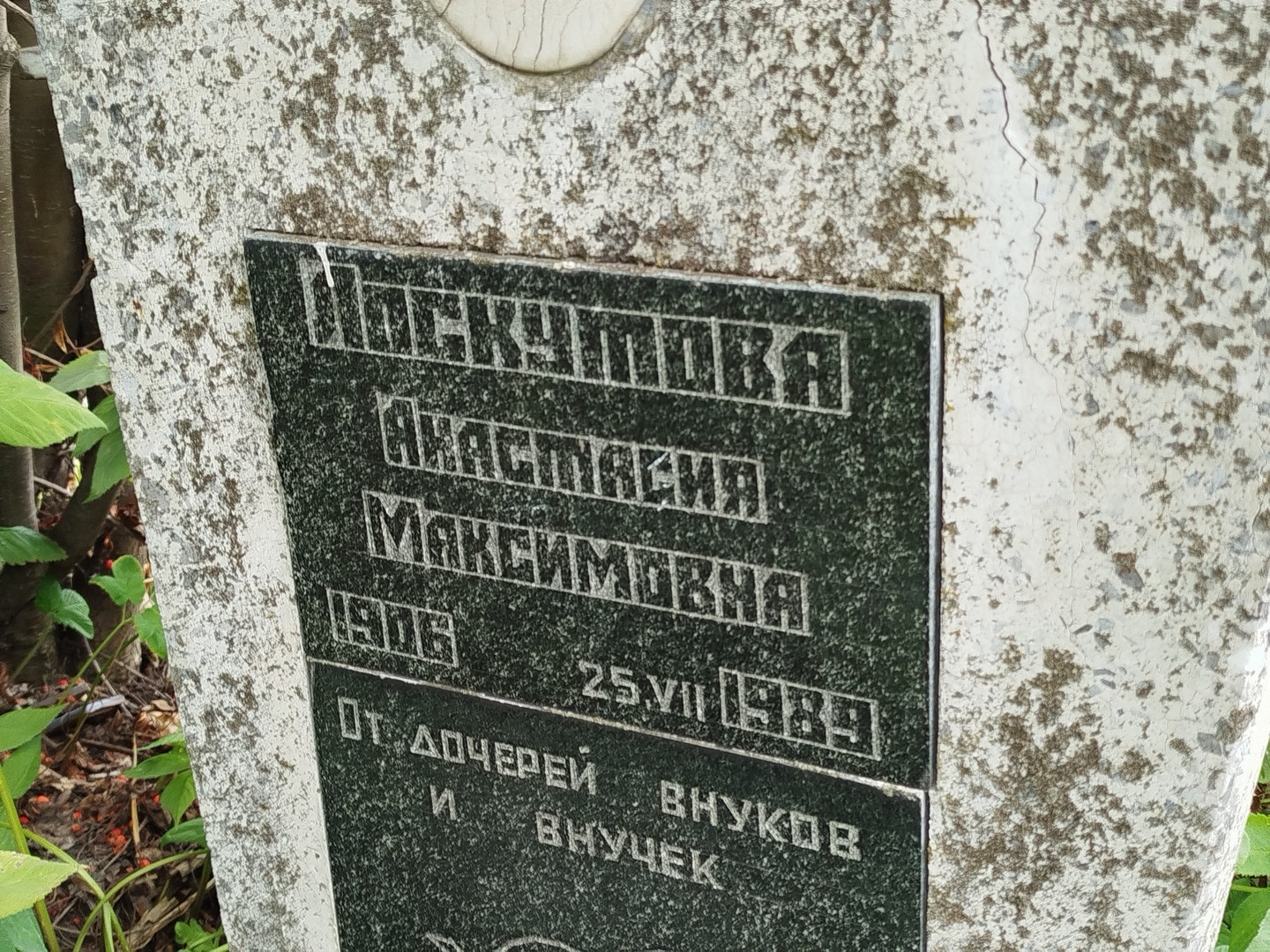 Лоскутова Анастасия Максимовна