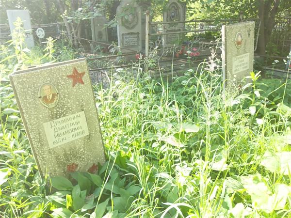 Дружинина Анна Борисовна