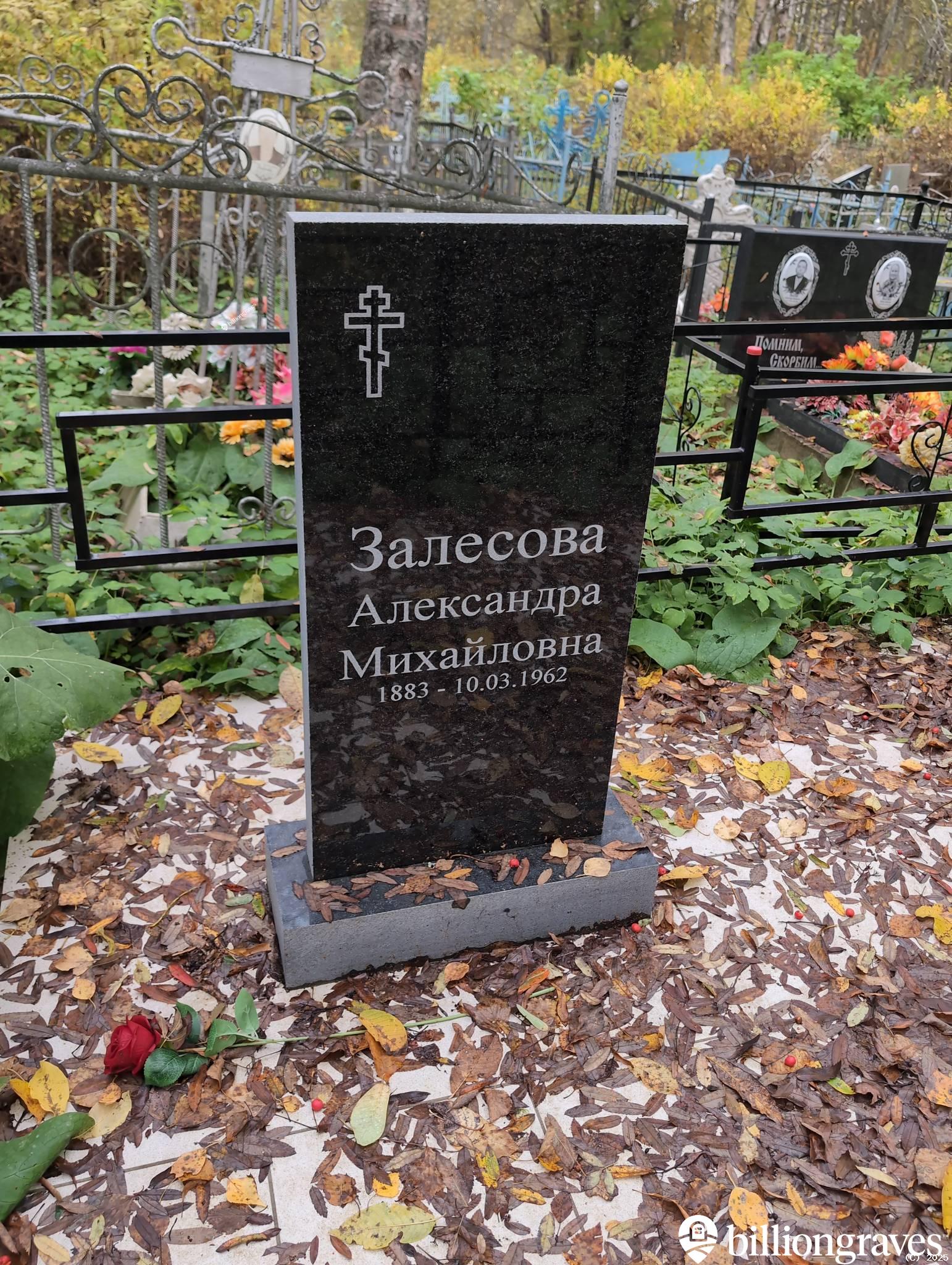 Залесова Александра Михайловна