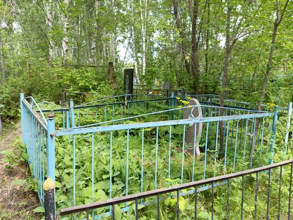 Пушков Николай Александрович