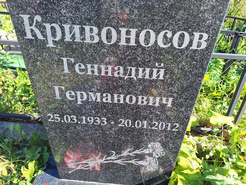 Кривоносов