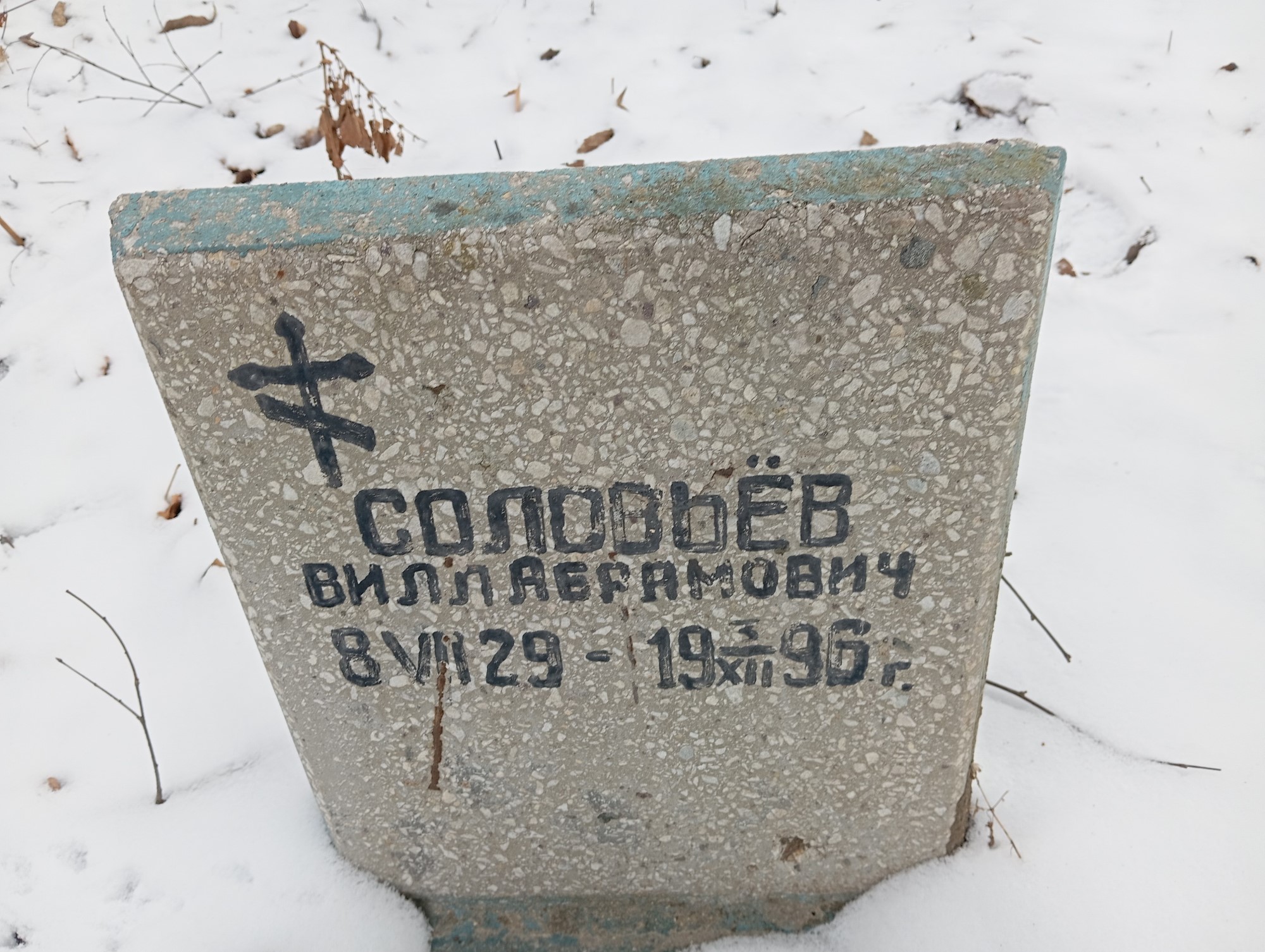 Соловьев Вилл Абрамович