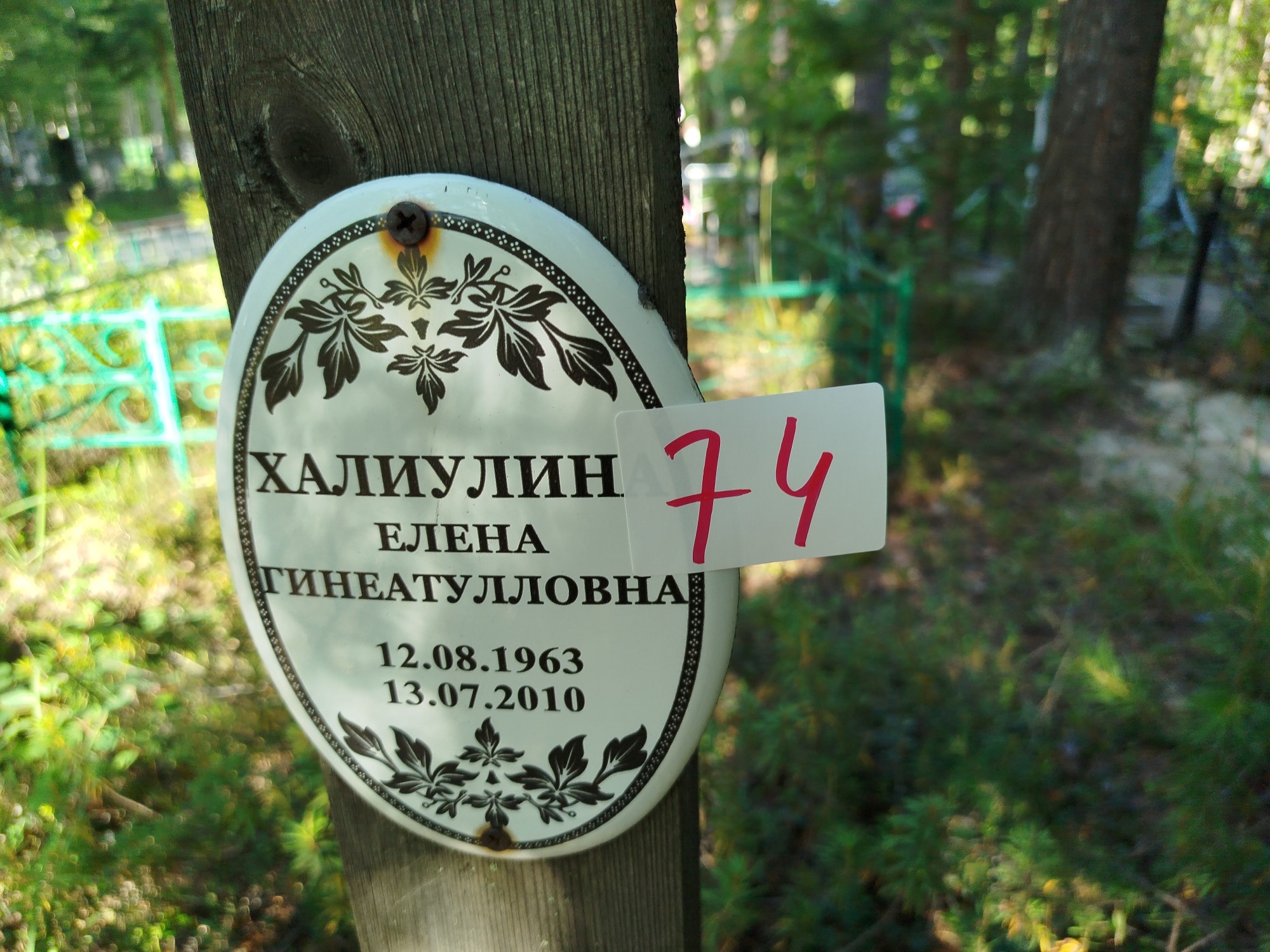 Халиулина Елена Гинеатулловна