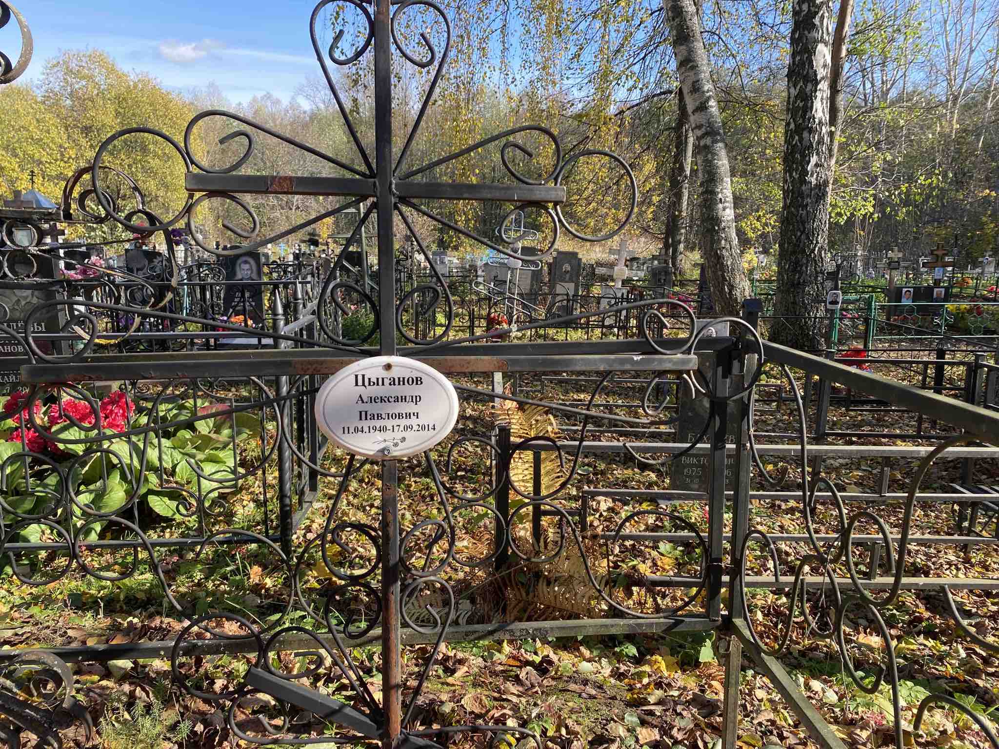 Цыганов Александр Павлович