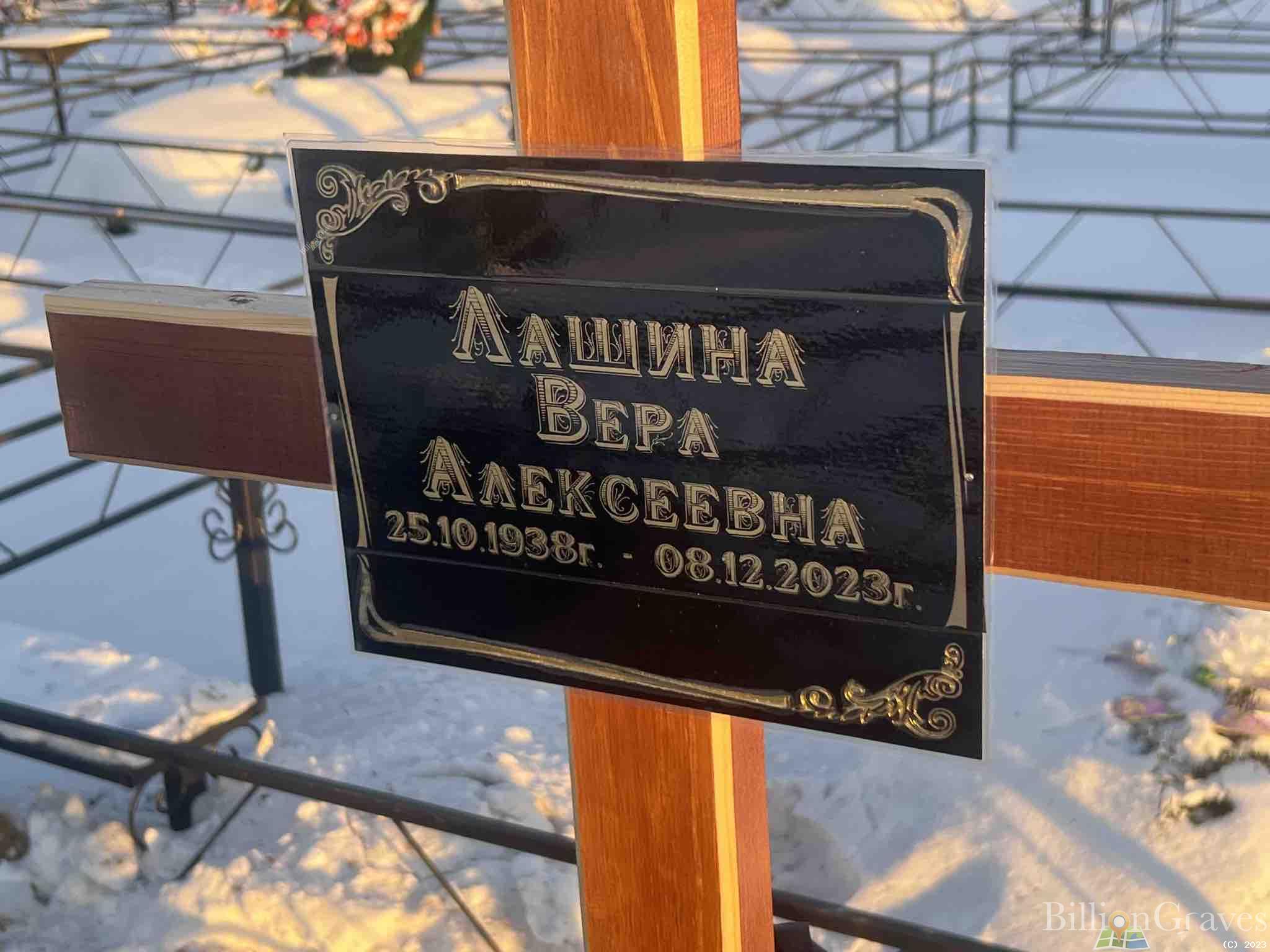 Лашина Вера Алексеевна
