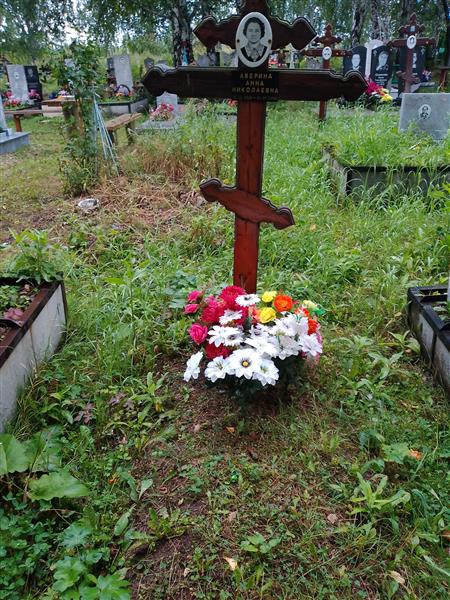 Аверина Анна Николаевна
