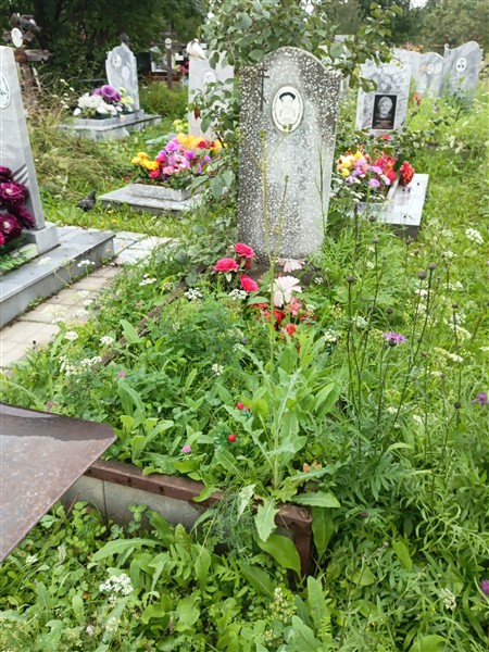 Дмитриев Владислав Петрович