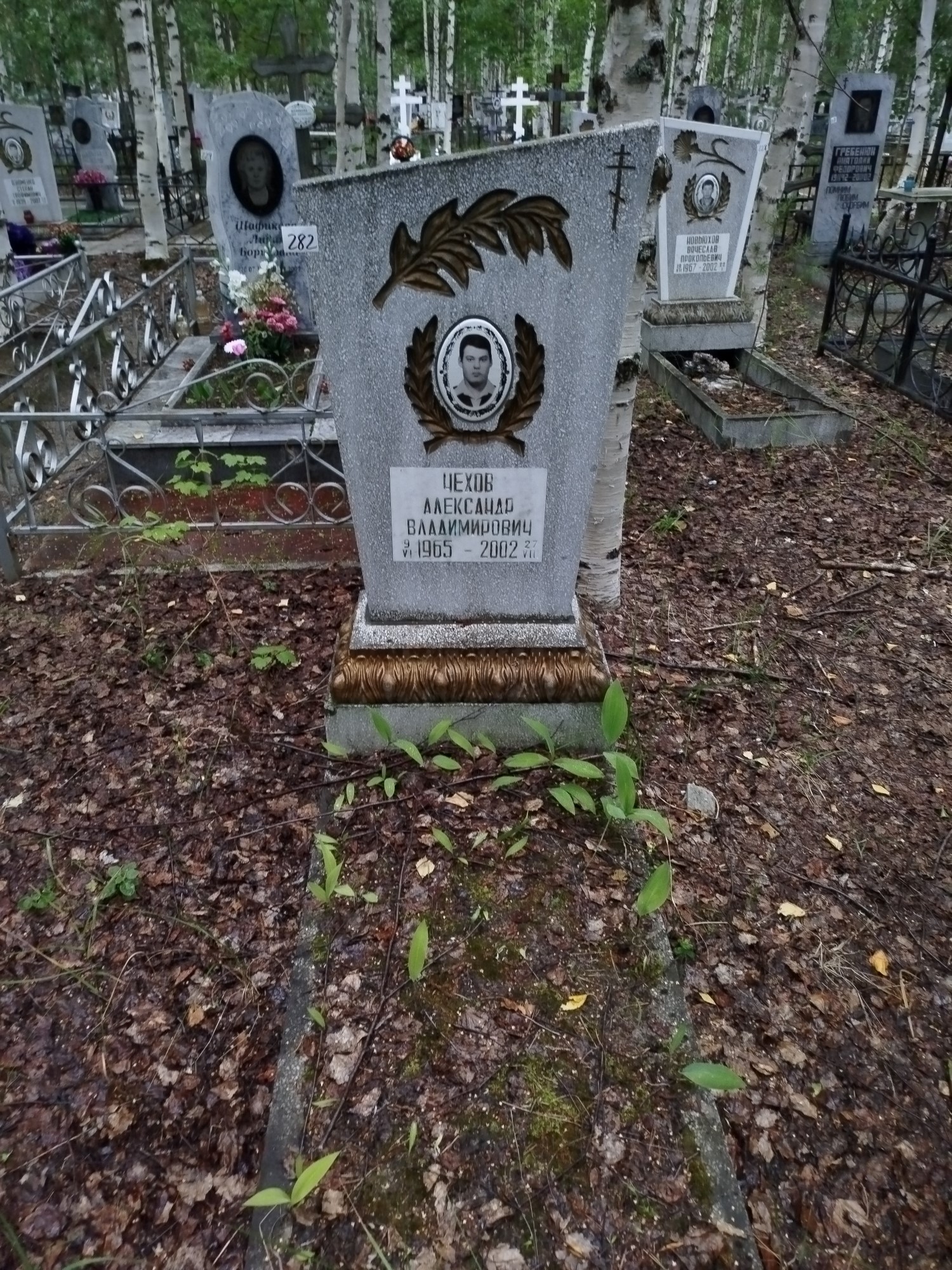 Чехов Александр Владимирович