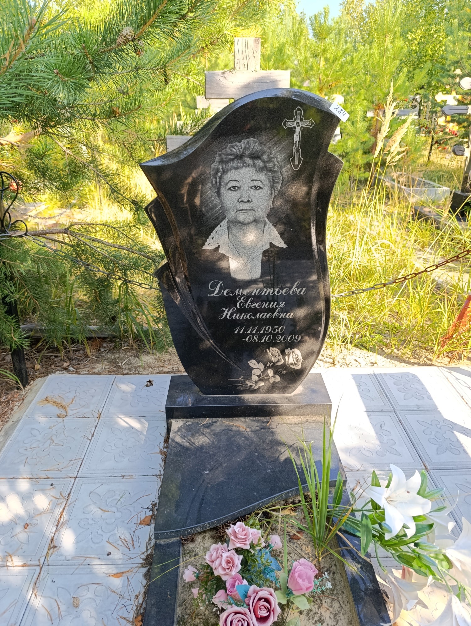 Дементьева Евгения Николаевна