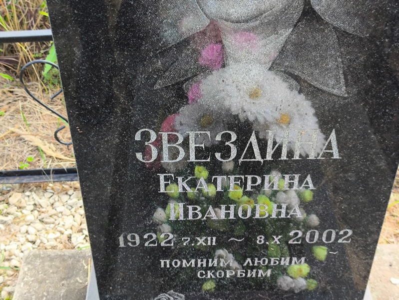 Звездина