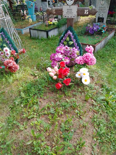 Букрин Виктор Иванович