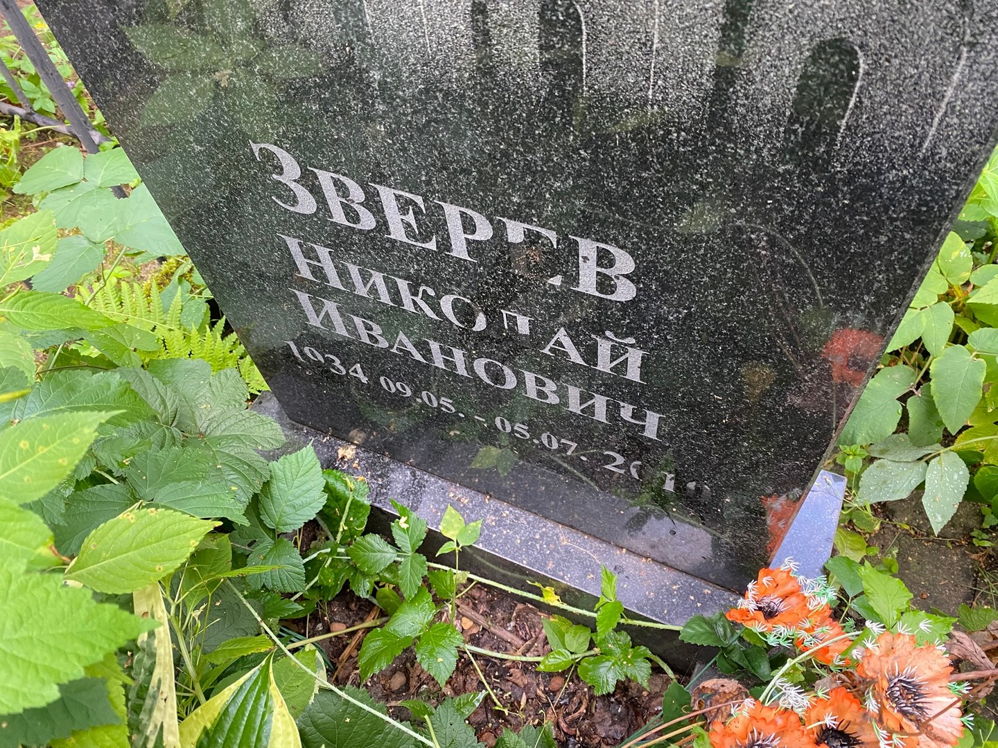 Зверев