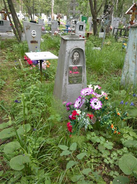 Шемелина А. А.