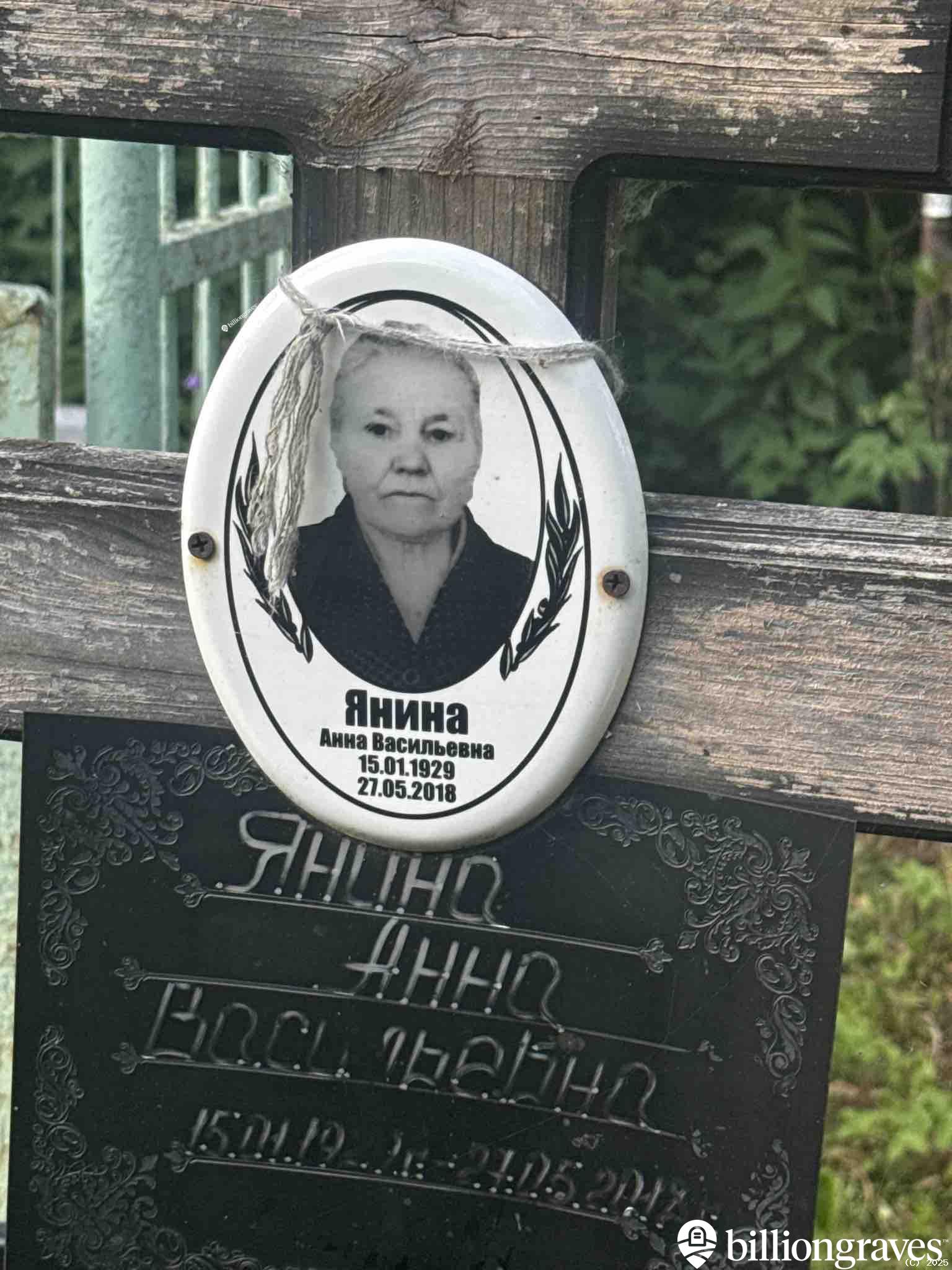 Янина Анна Васильевна