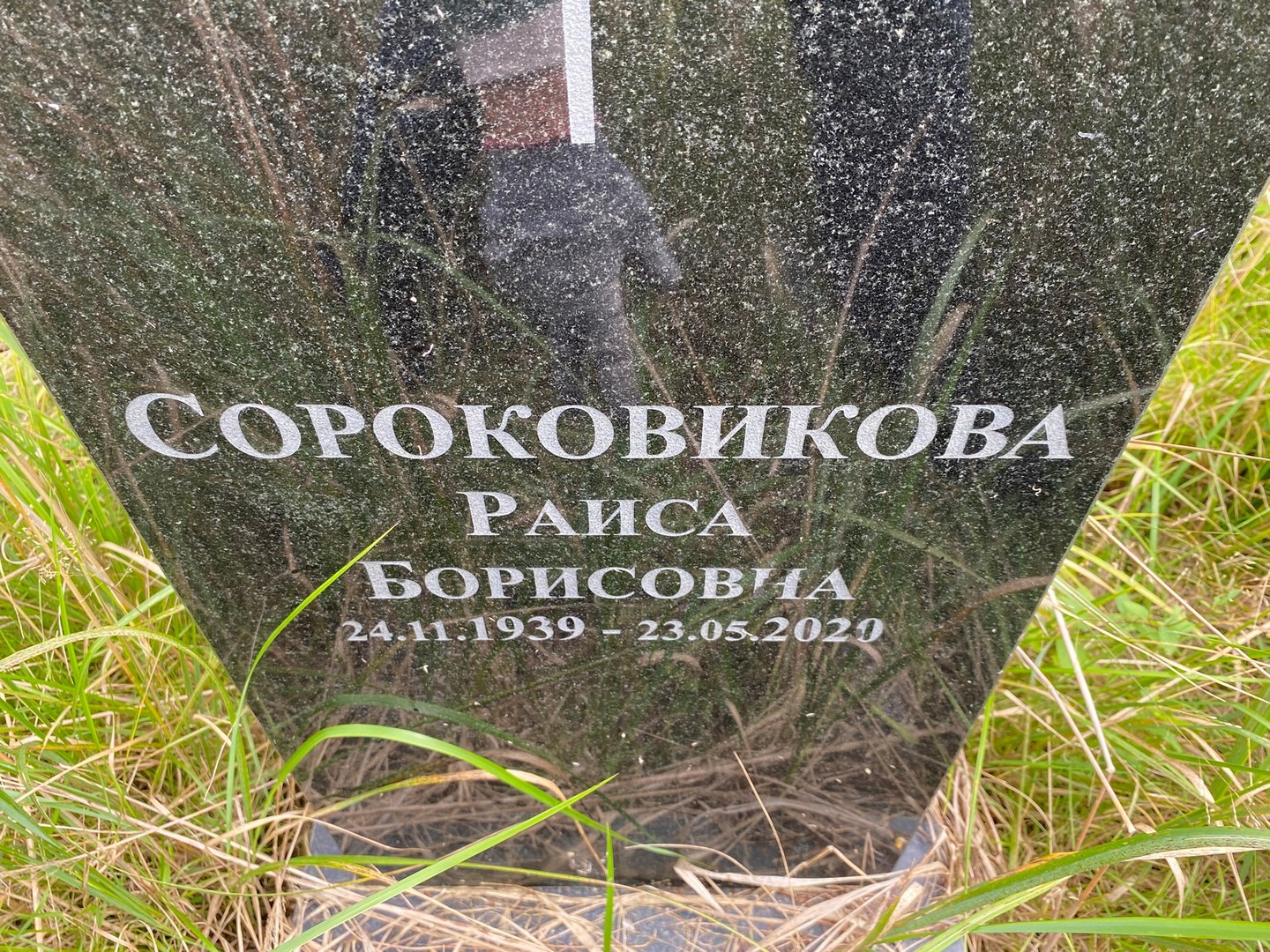Сороковикова
