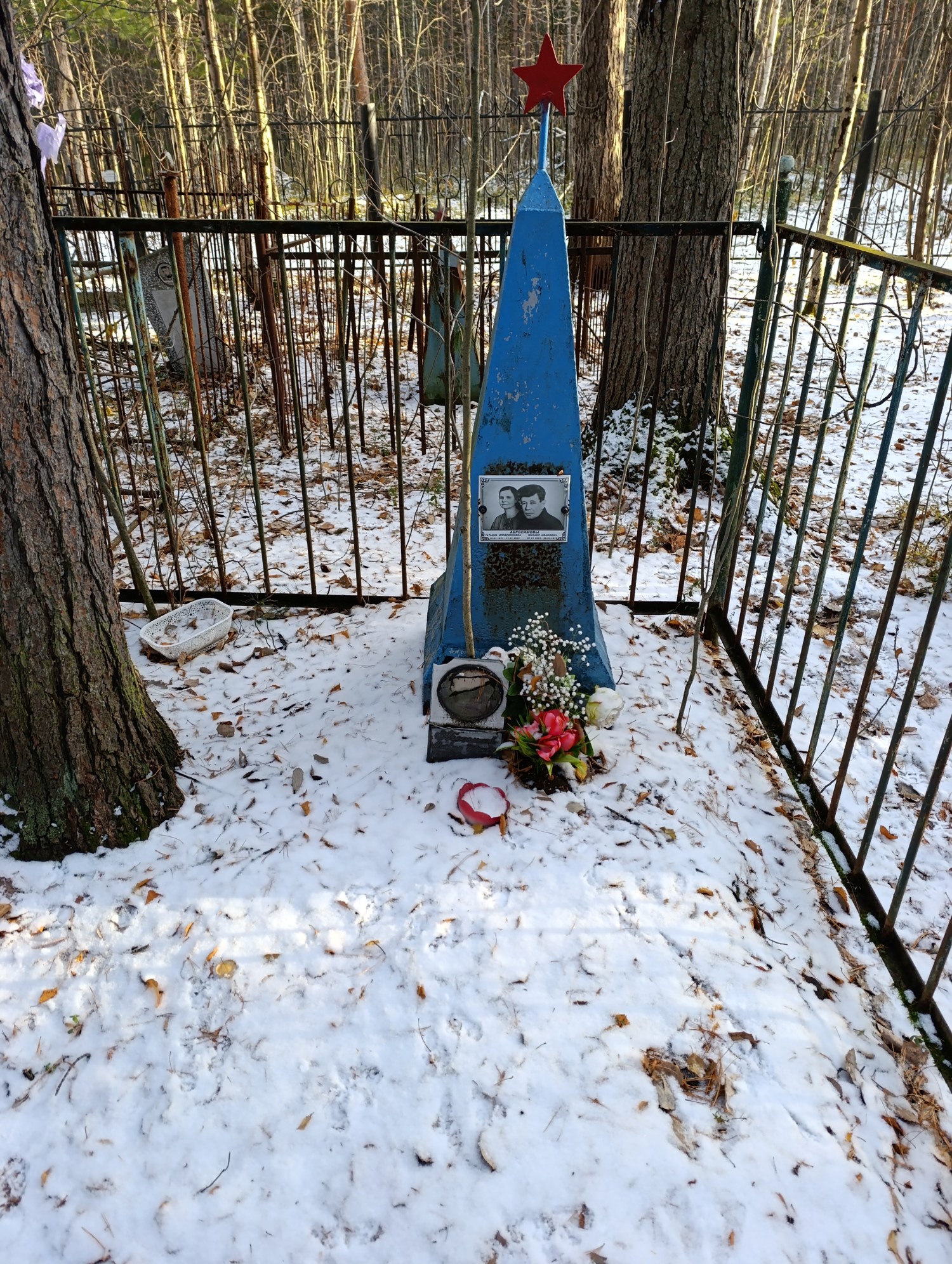 Абросимова Татьяна Илларионовна