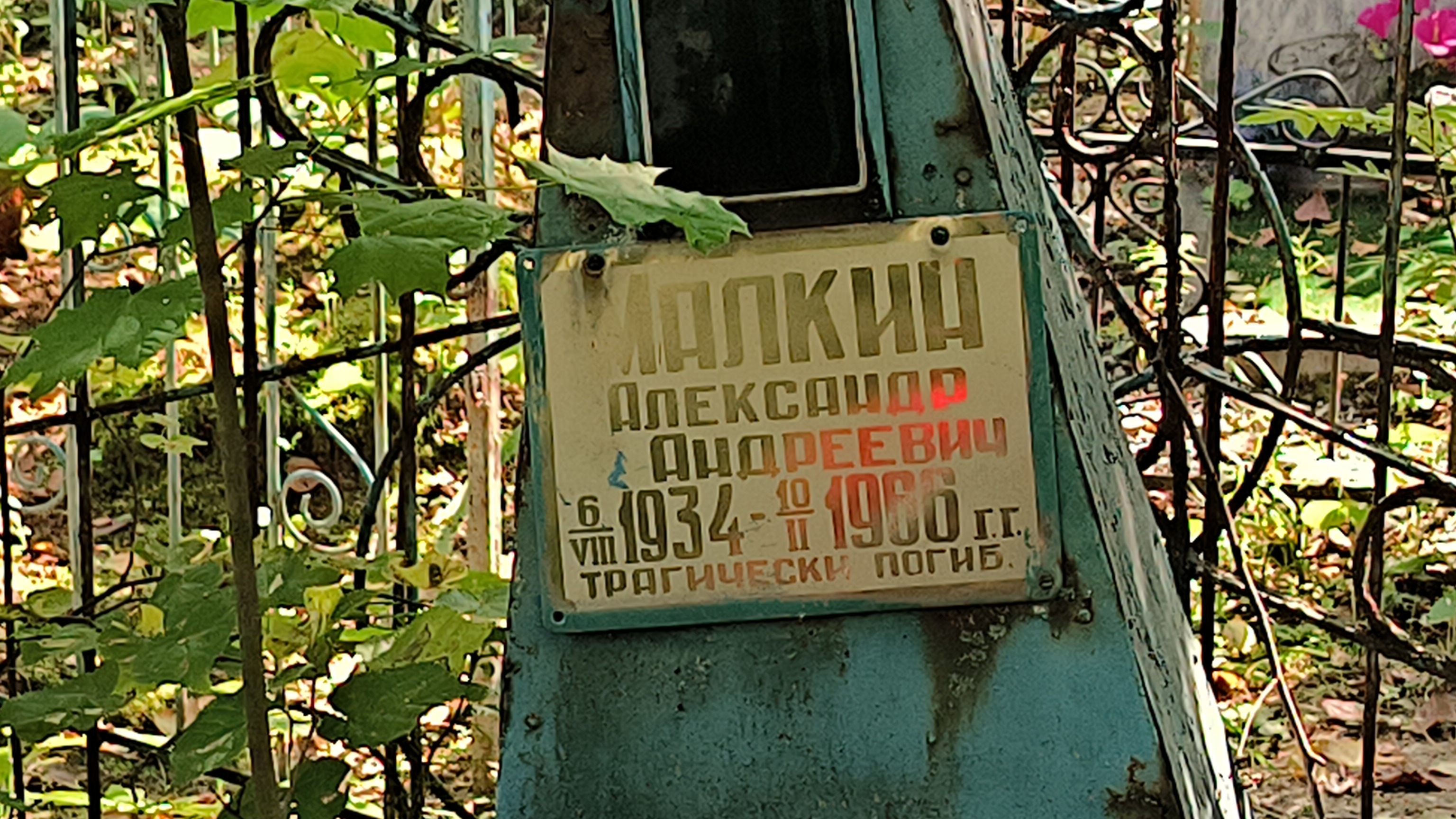 Малкин Александр Андреевич