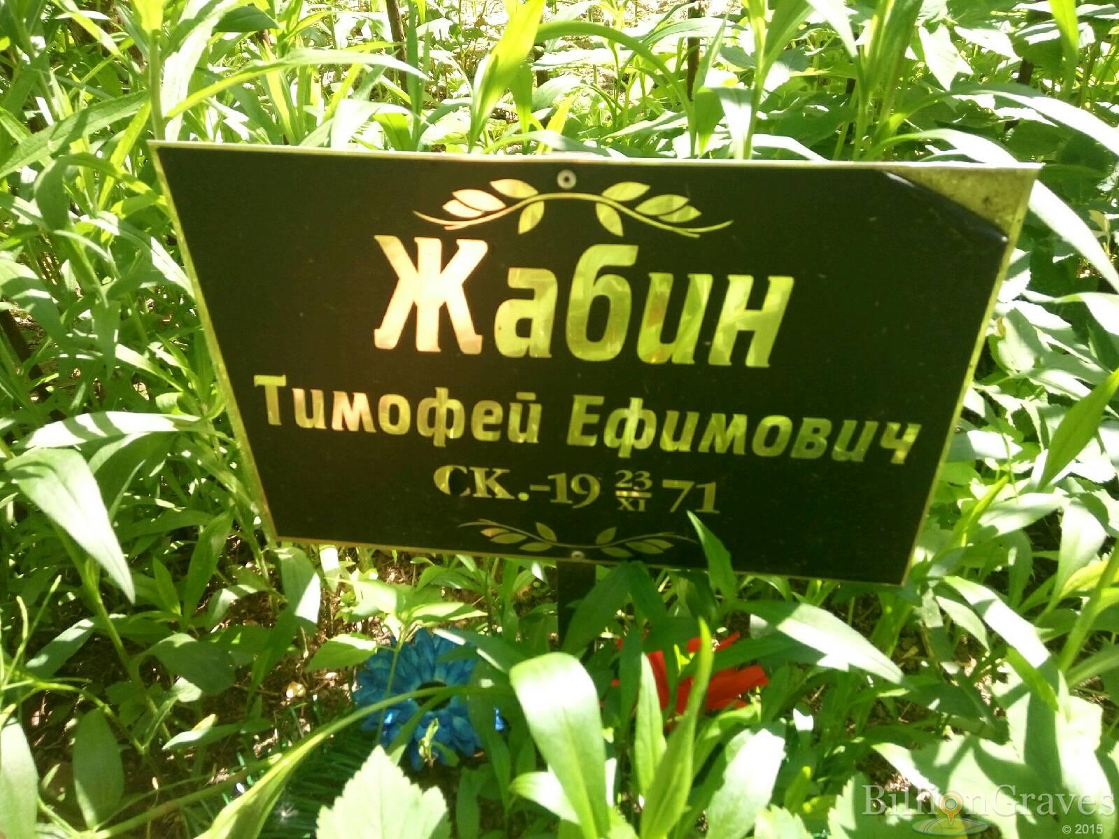 жабина мария ивановна