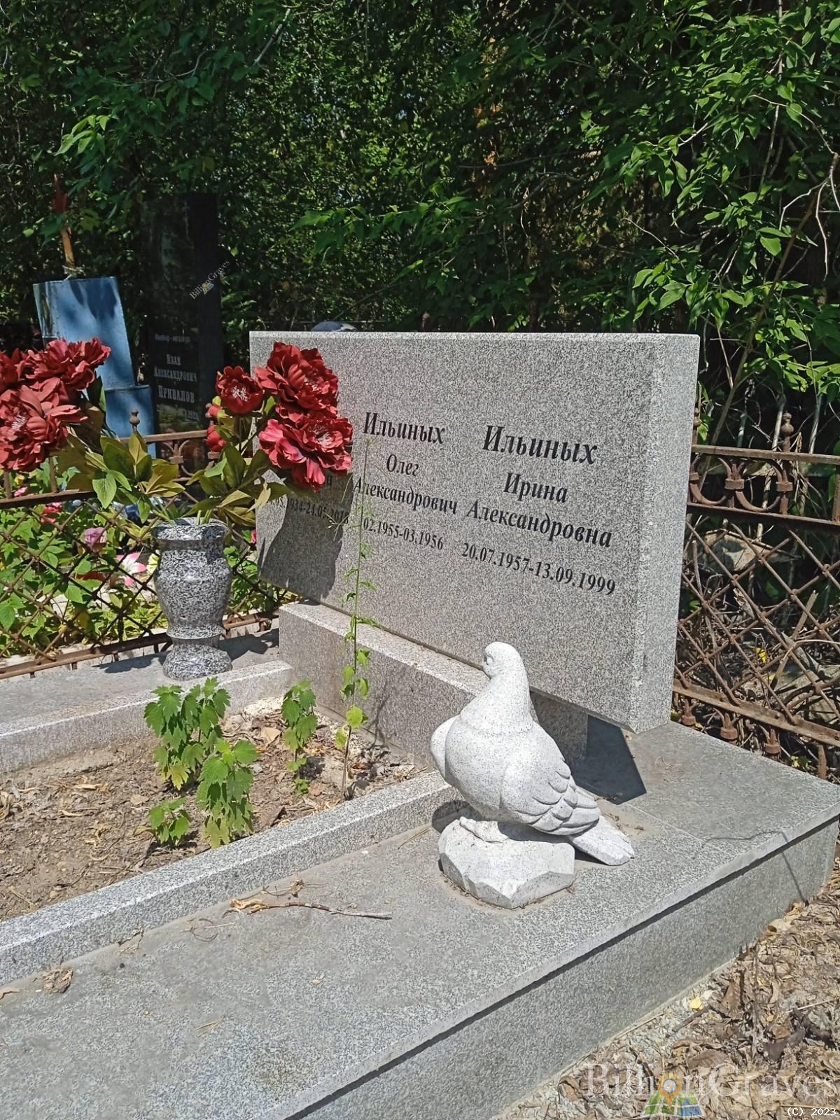 Ильиных Ирина Александровна