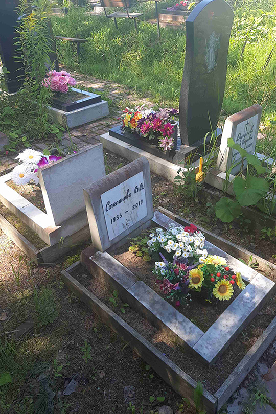 Степанова В. В.