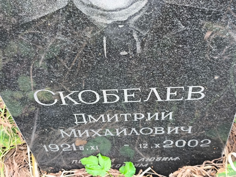 Скобелев