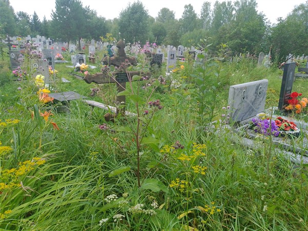 Неуймина Людмила Владимировна