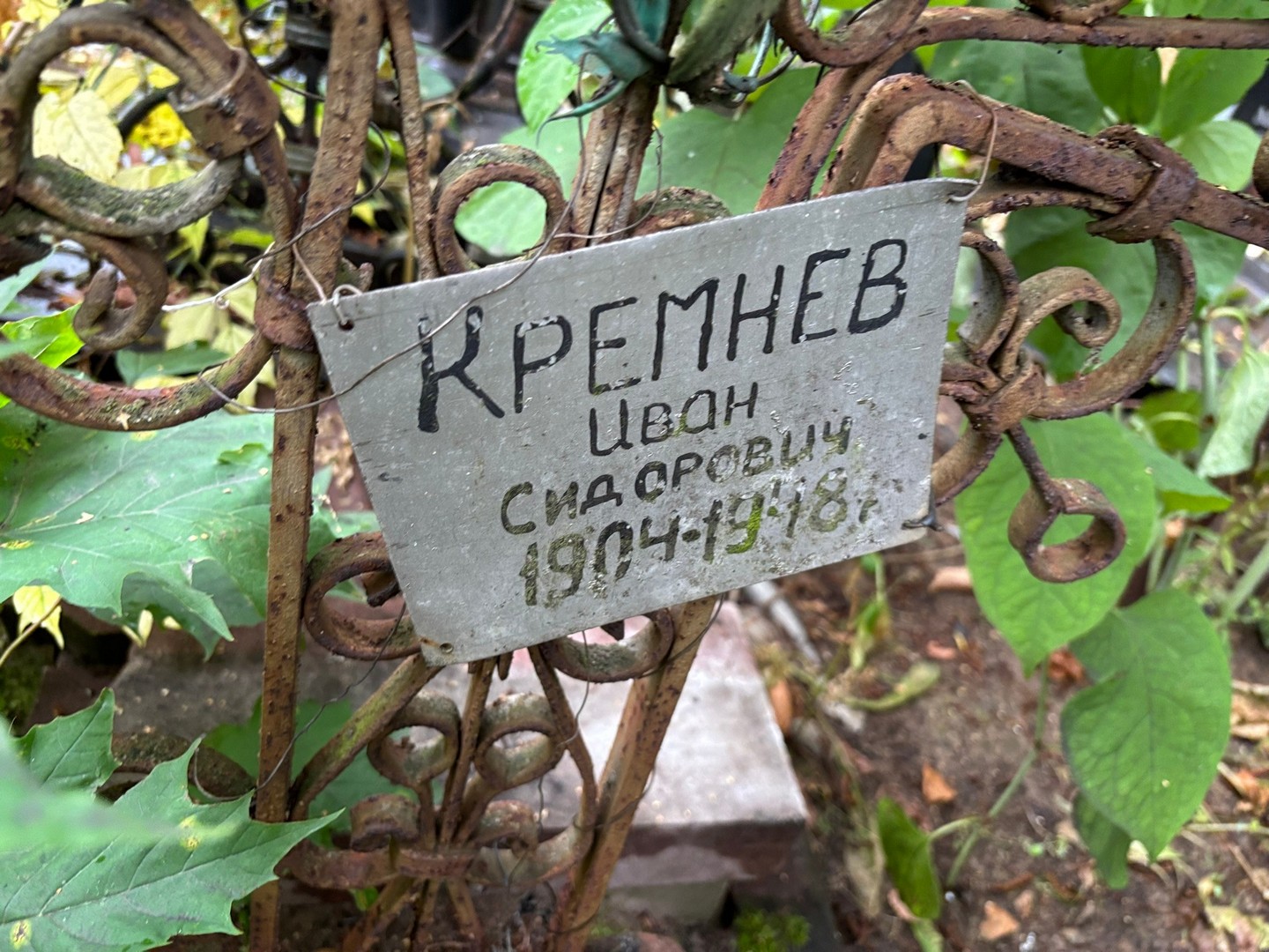 Кремнев
