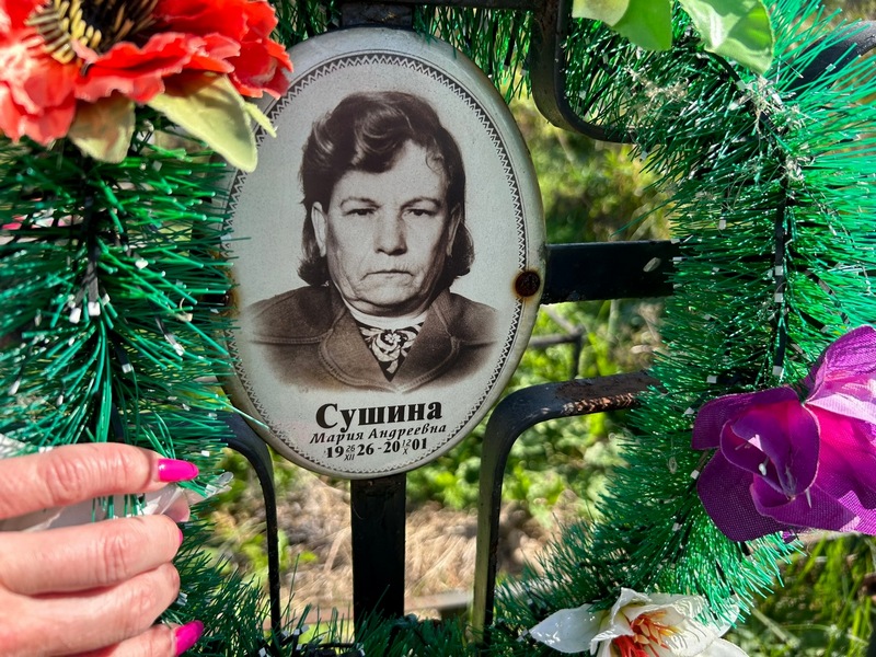 Сушина