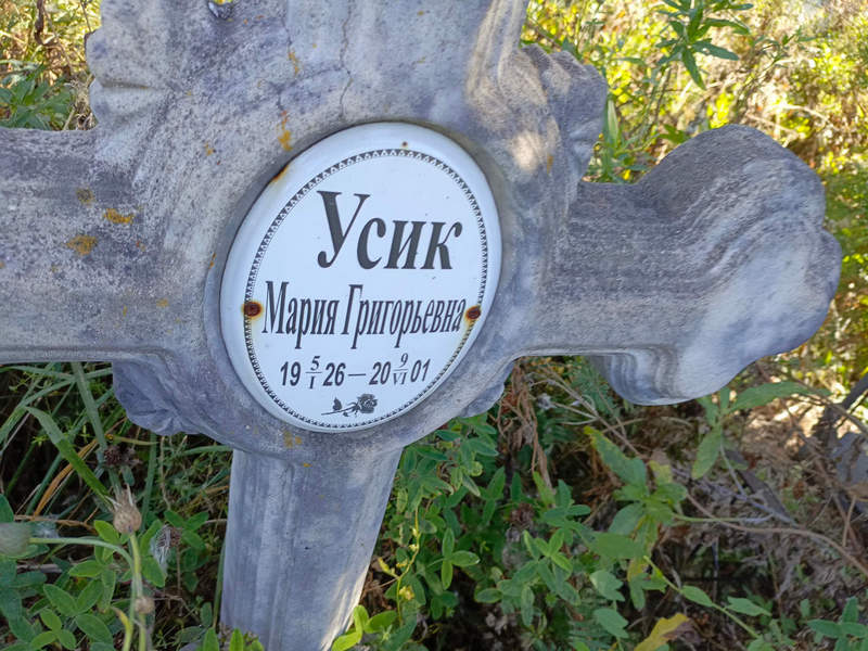 Усик