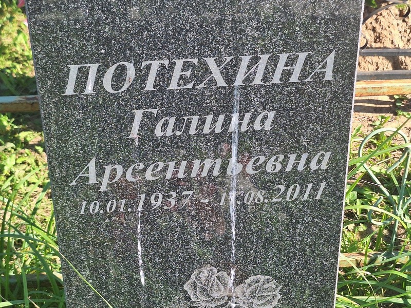 Потехина