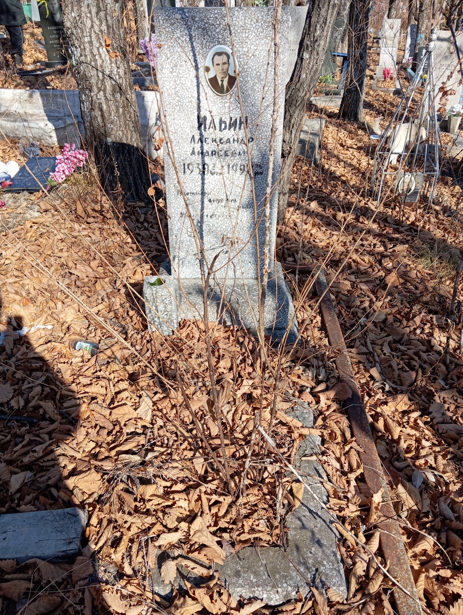 Ильин Александр Андреевич