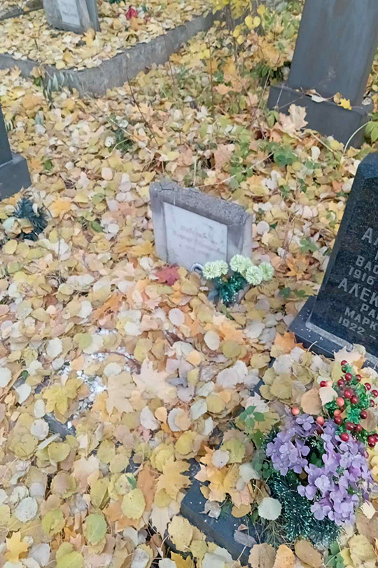 Шевелев Виктор Михайлович