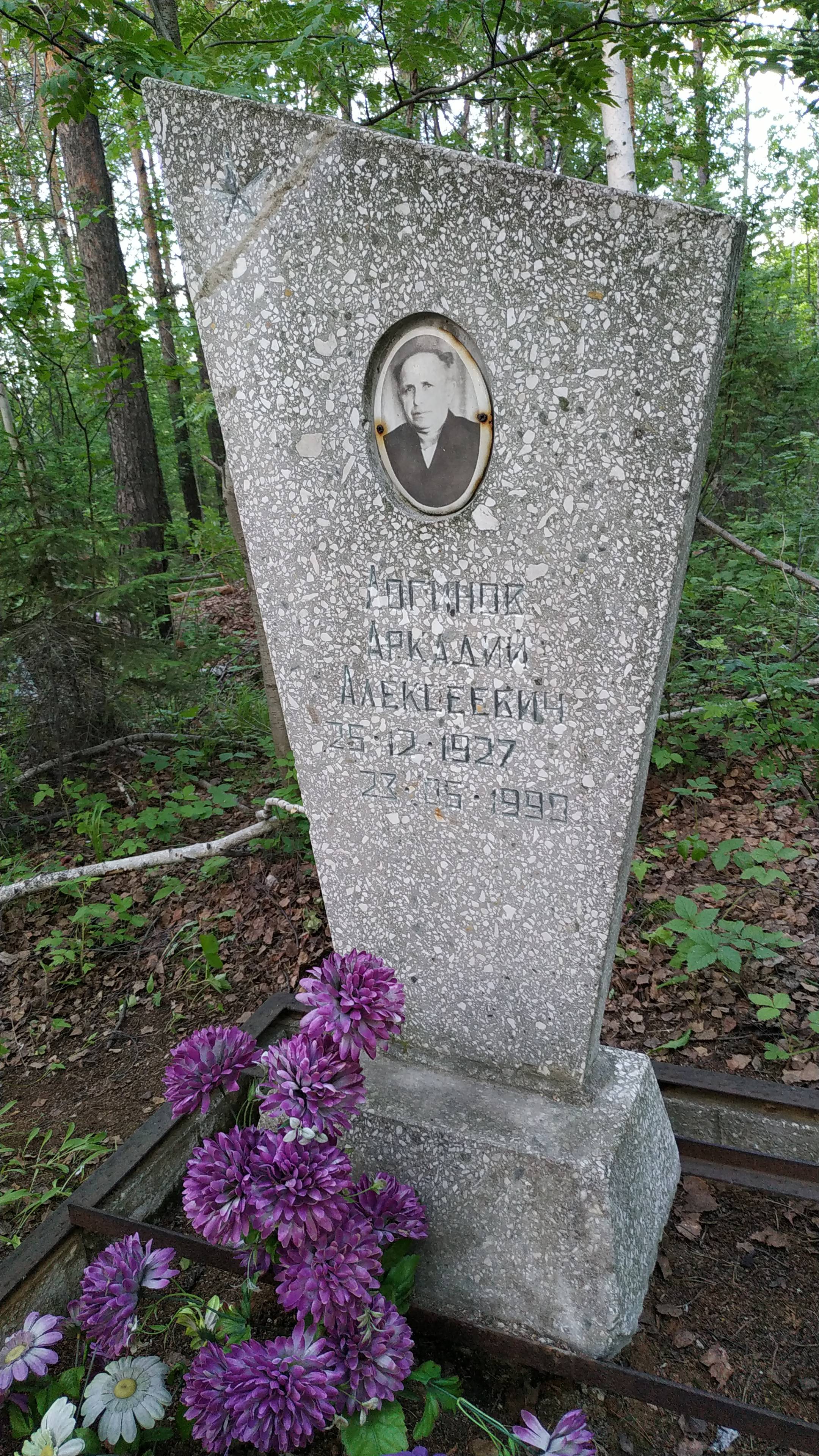 Логинов Аркадий Алексеевич