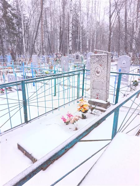 Шапошников Дмитрий Гаврилович