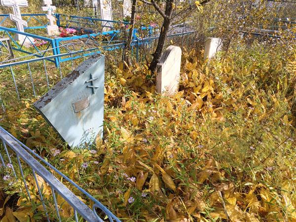 Логашова Елена Николаевна