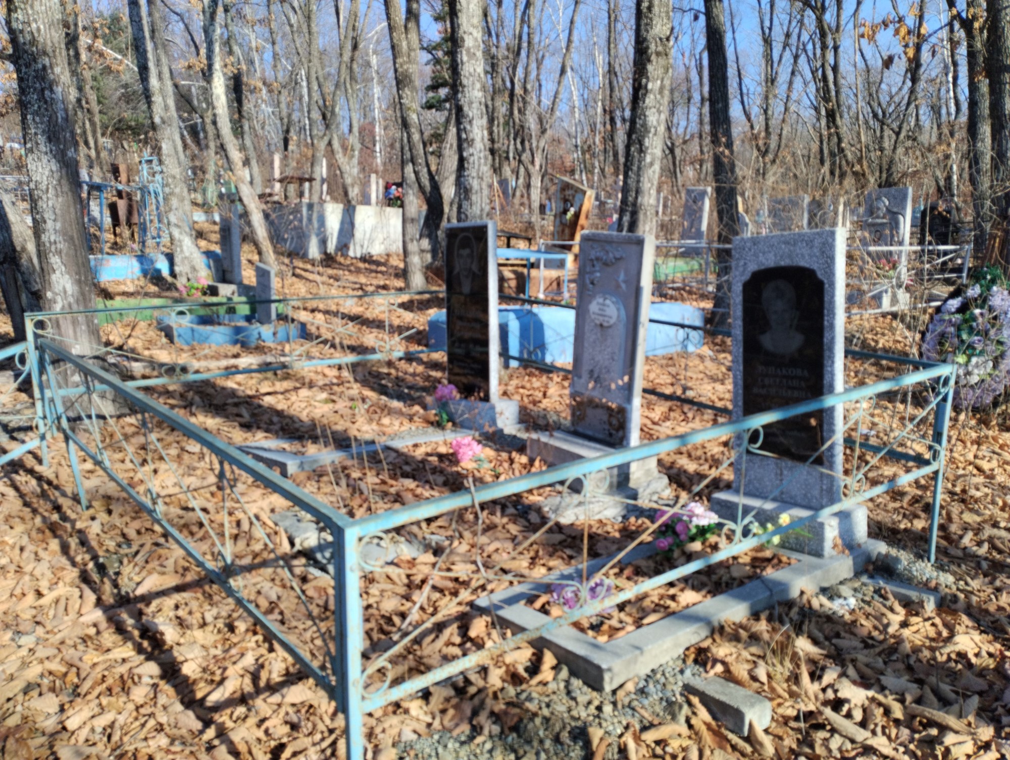 Лупакова Светлана Васильевна