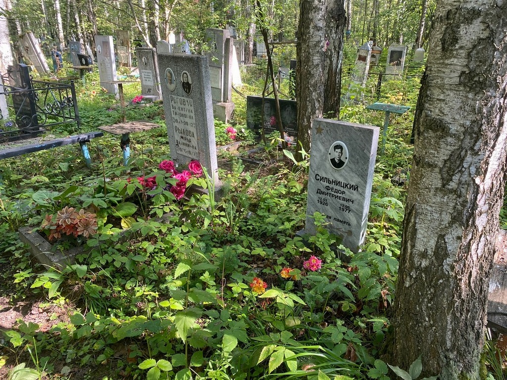 Сильницкий Федор Дмитриевич