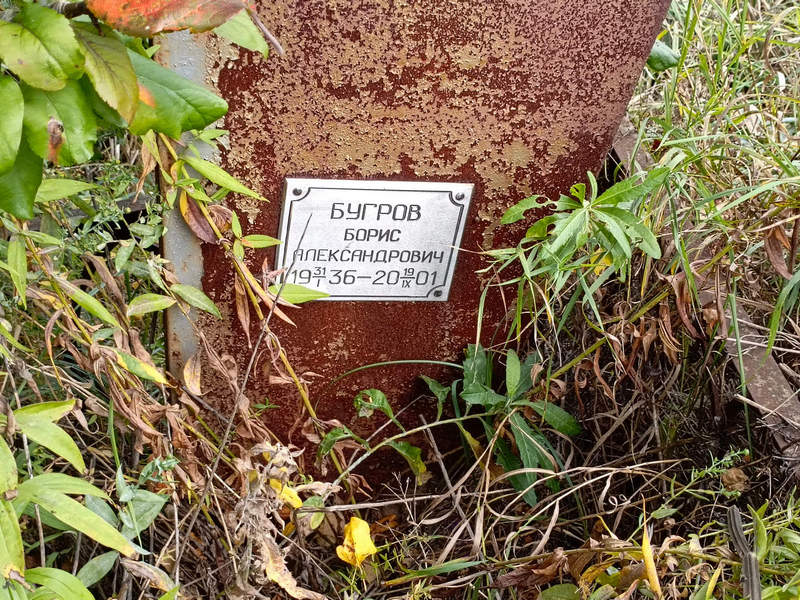 Бугров