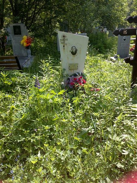 Андреев Терентий Никитович