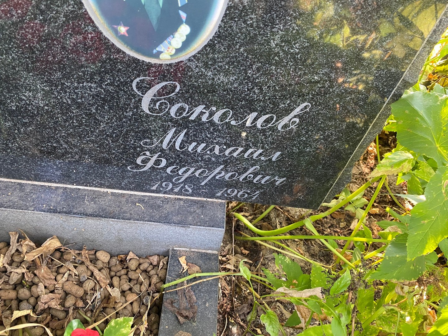 Соколов