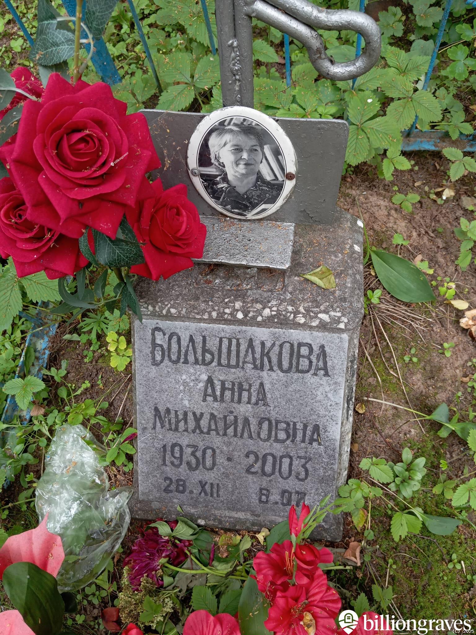 Большакова Анна Михайловна
