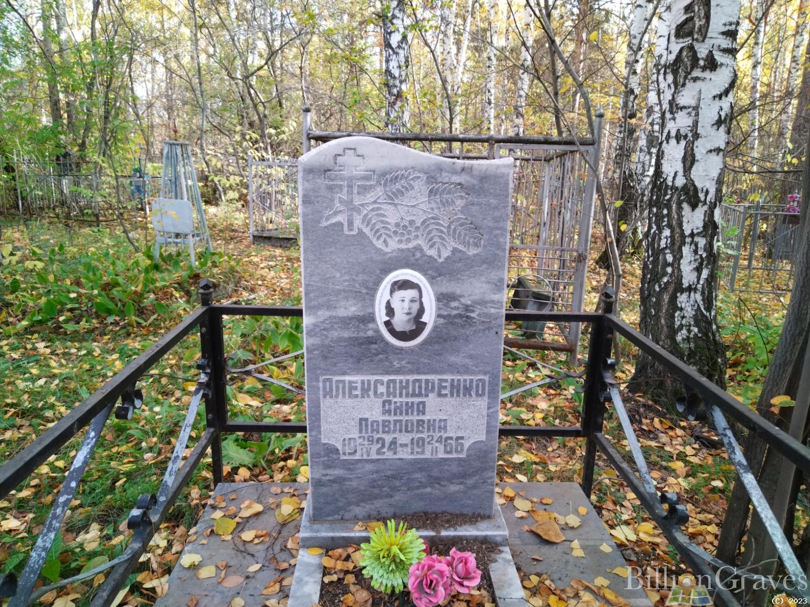 Александренко Анна Павловна