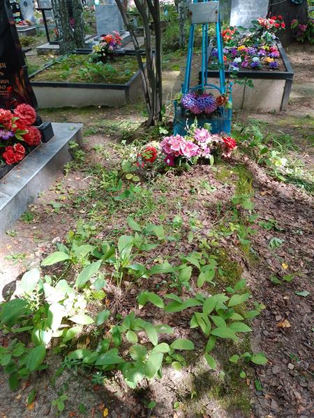 Васютина Дарья Ивановна
