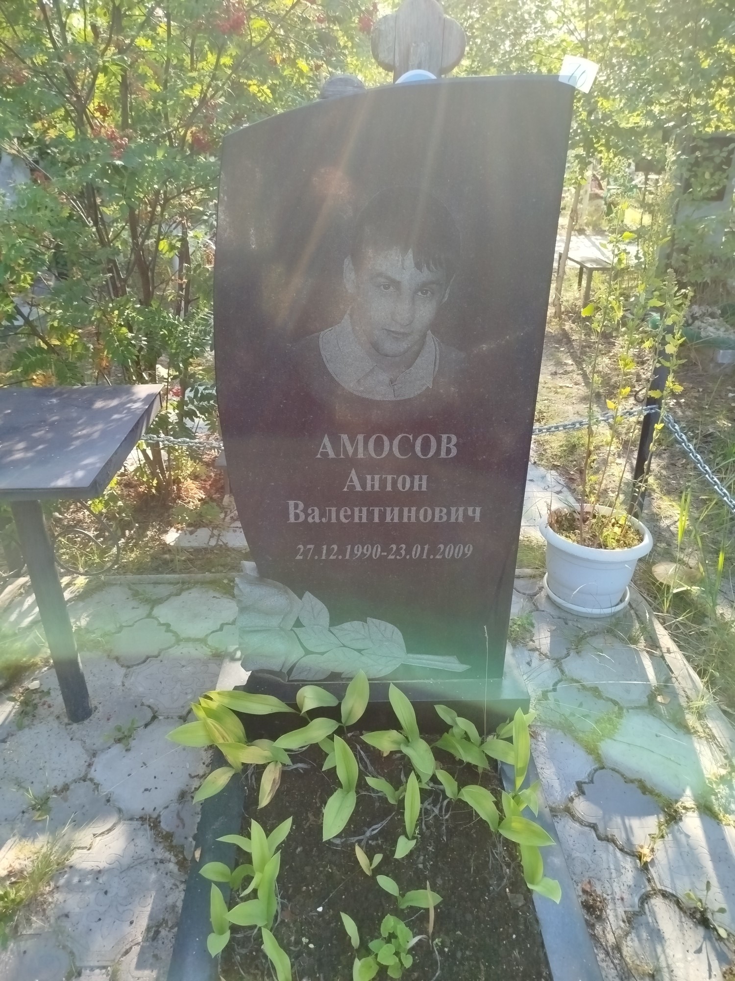 Амосов Антон Валентинович