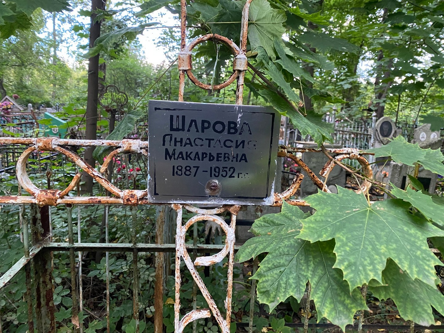 Шарова Анастасия Макарьевна